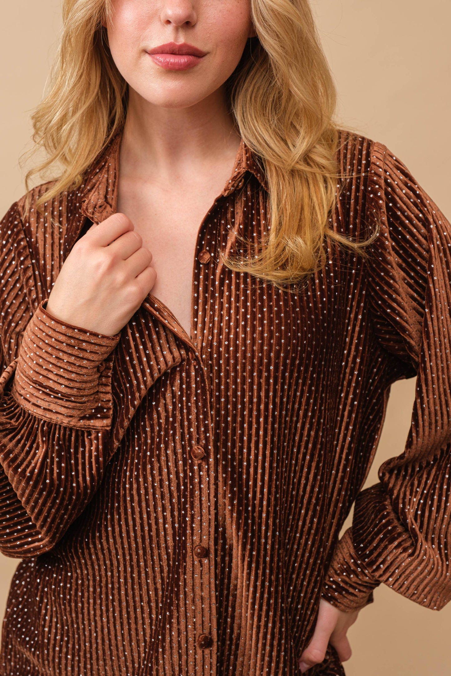 Sparkle Button Down Blouse