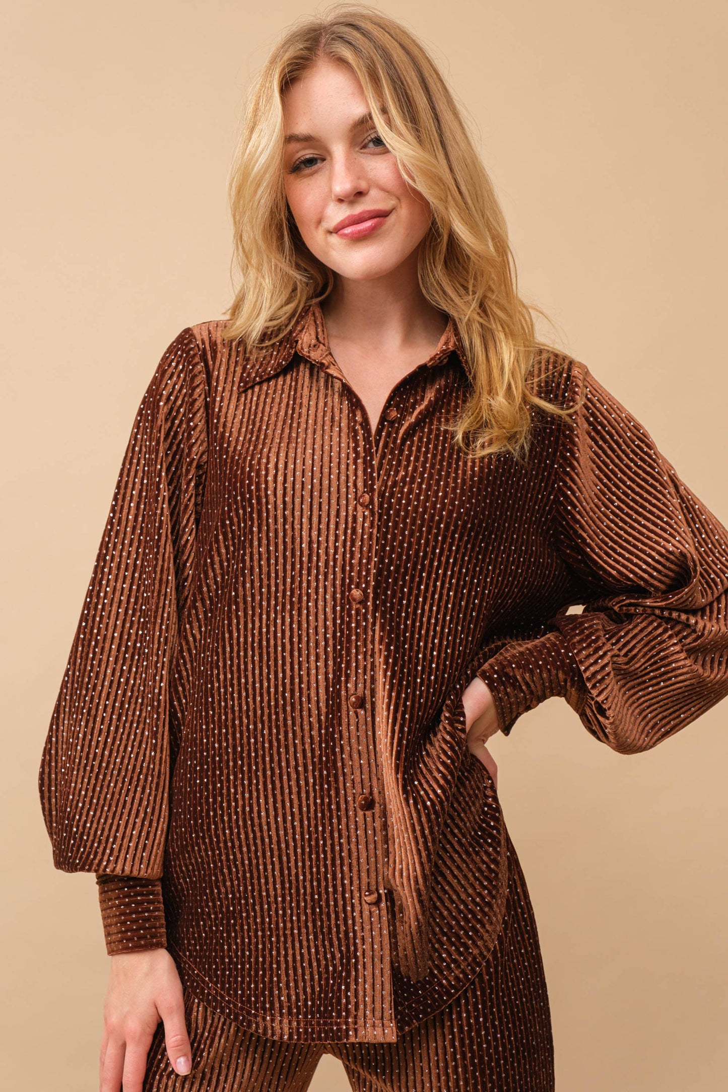 Sparkle Button Down Blouse