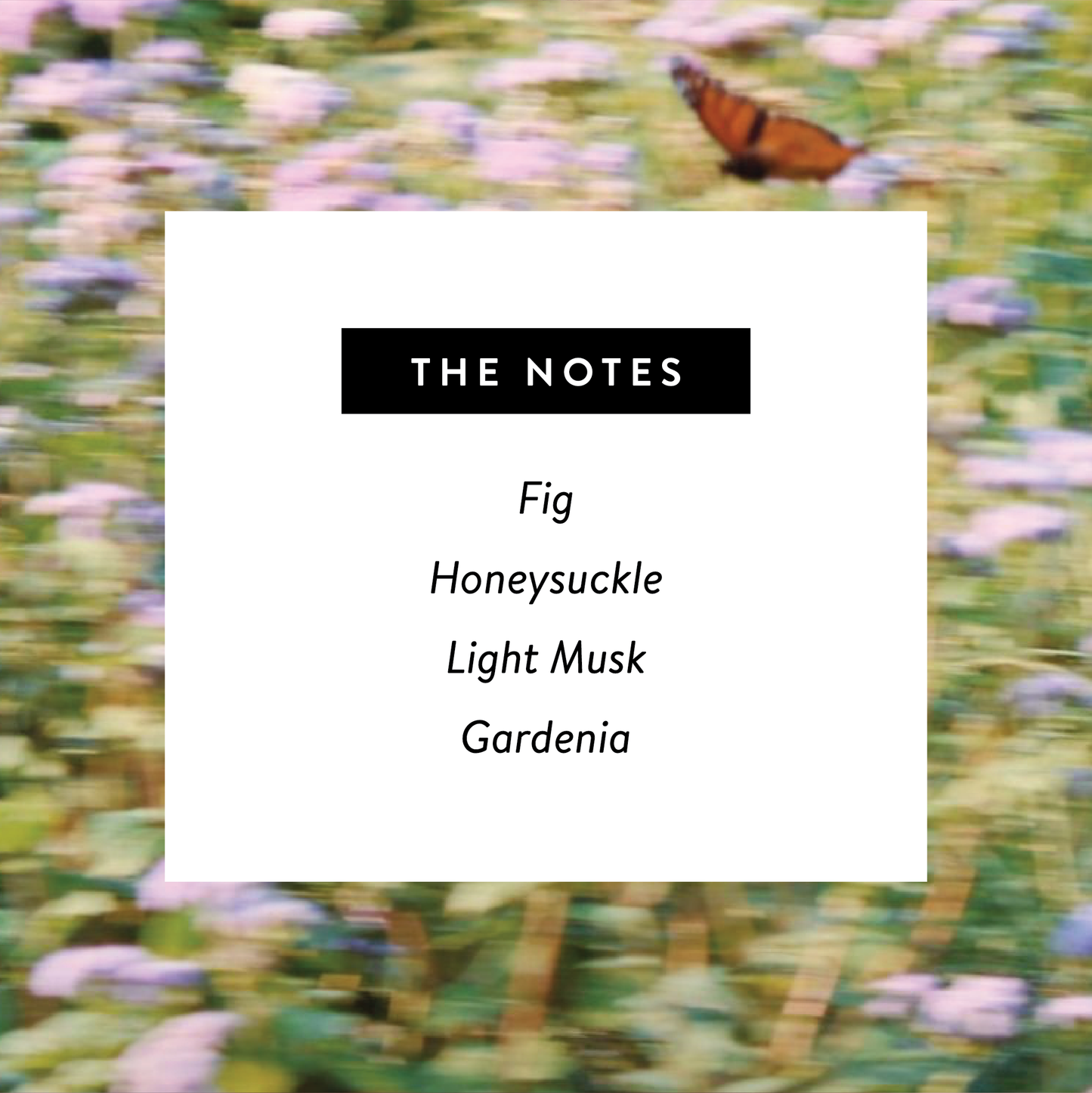 Monarch 🦋 Perfume - Nontoxic Eau De Parfum 1.7oz